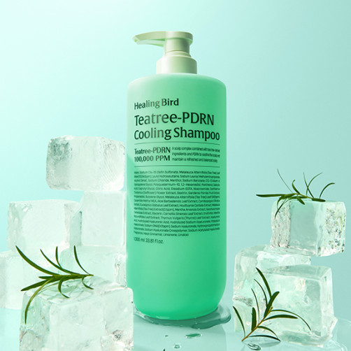 힐링버드 티트리 PDRN 쿨링 샴푸 1000ml